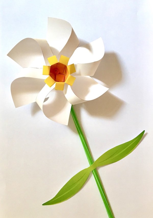 فرفره گل نرگس