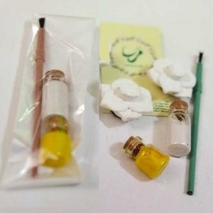 بسته رنگ آمیزی دو گل نرگس کوچک گچی آهنربایی 🧲
