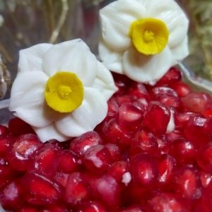 شکلات گل نرگس